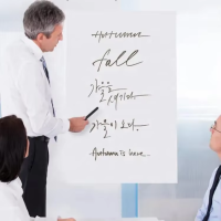 Premium Adhesive Whiteboard Sticker  স্টিকার রোল (৬০ সেমি × ২ মিটার)